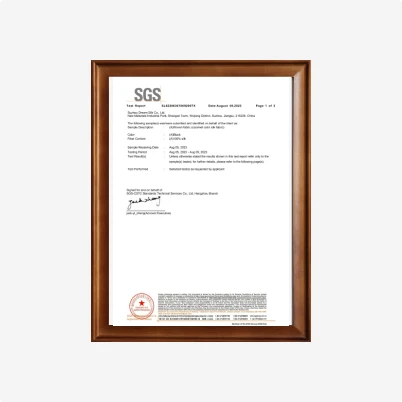 SGS Test Report