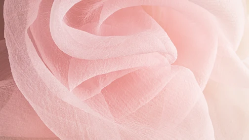 Stretch Silk Charmeuse Fabric